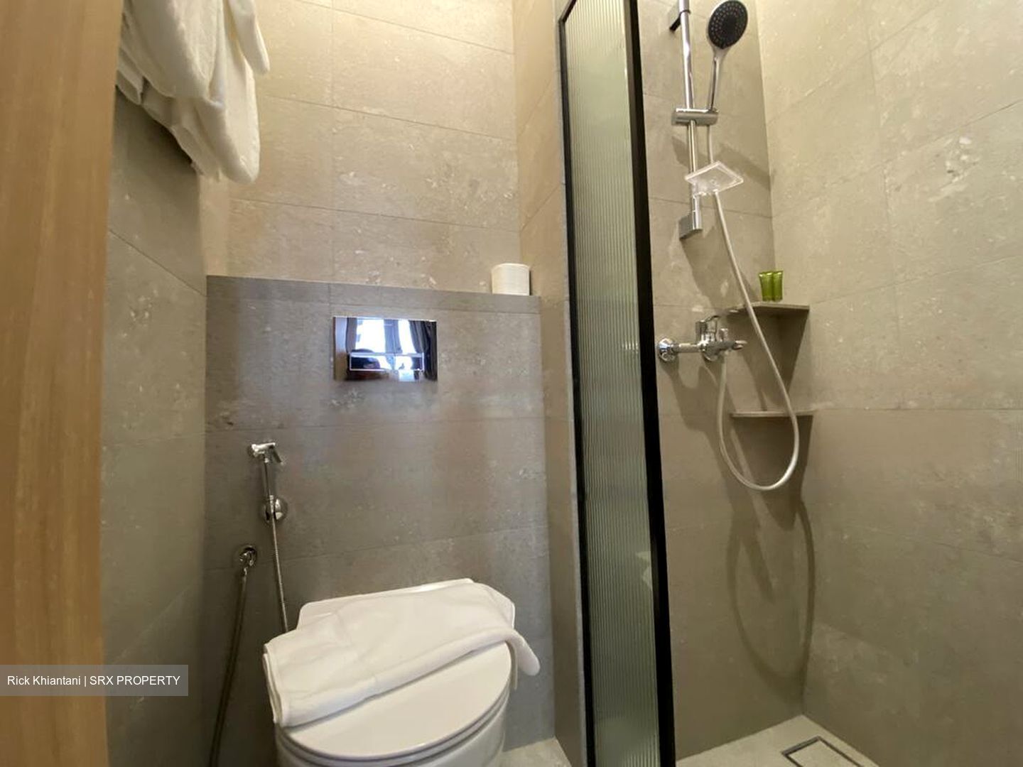 Orchard Road (D9), Condominium #466050611